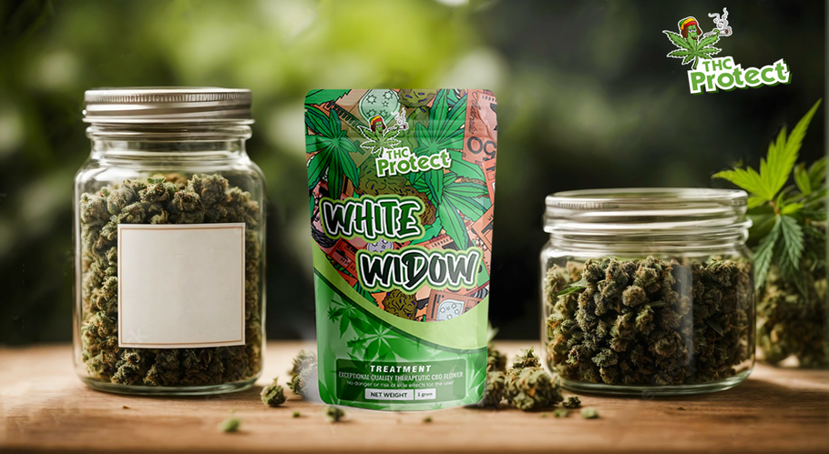 White Widow CBD: Je to najobľúbenejší kvet CBD?