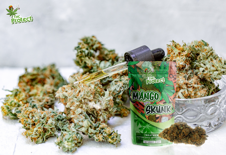 Objavte výnimočnú silu CBD kvetu Mango Skunk